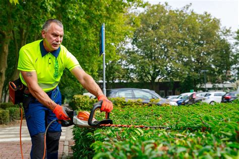 jobs in het groen.